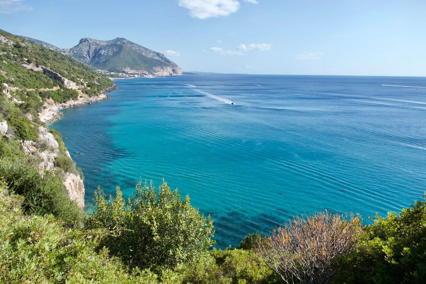 Ogliastra